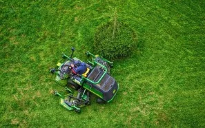 Lawn Maintenance Image